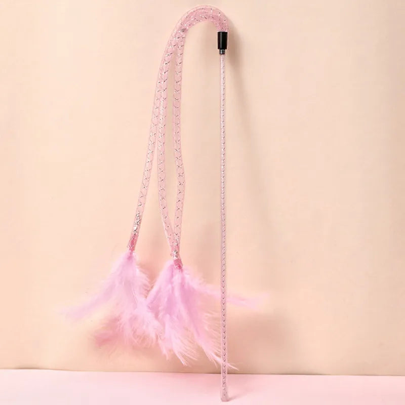 Pretty Feather Teaser Toy