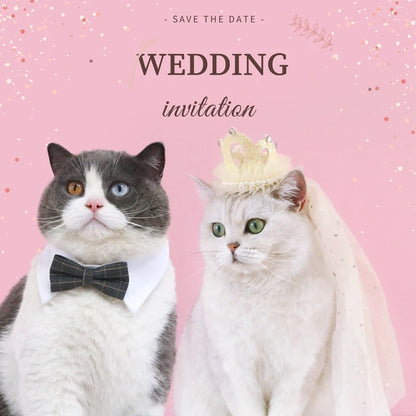 Pet Weddings & Formal Attire