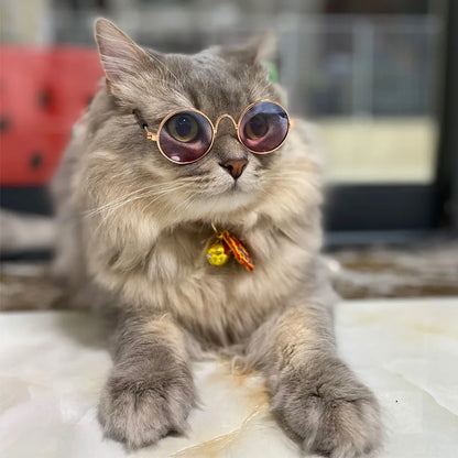 Vintage Round Cat glasses