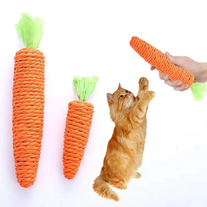 Cat Toy Carrot