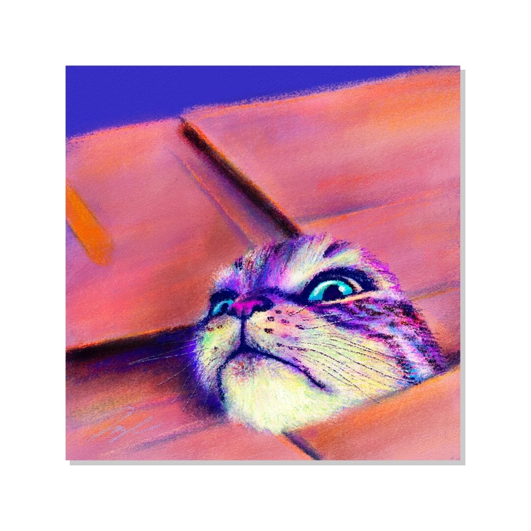 Close Encounters Collection - "If I Fits" Non-Holographic Matte Sticker - Close Up of a Cat in a Box