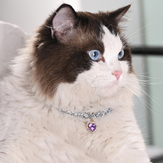 Charm Cat Collar With Purple Pendant