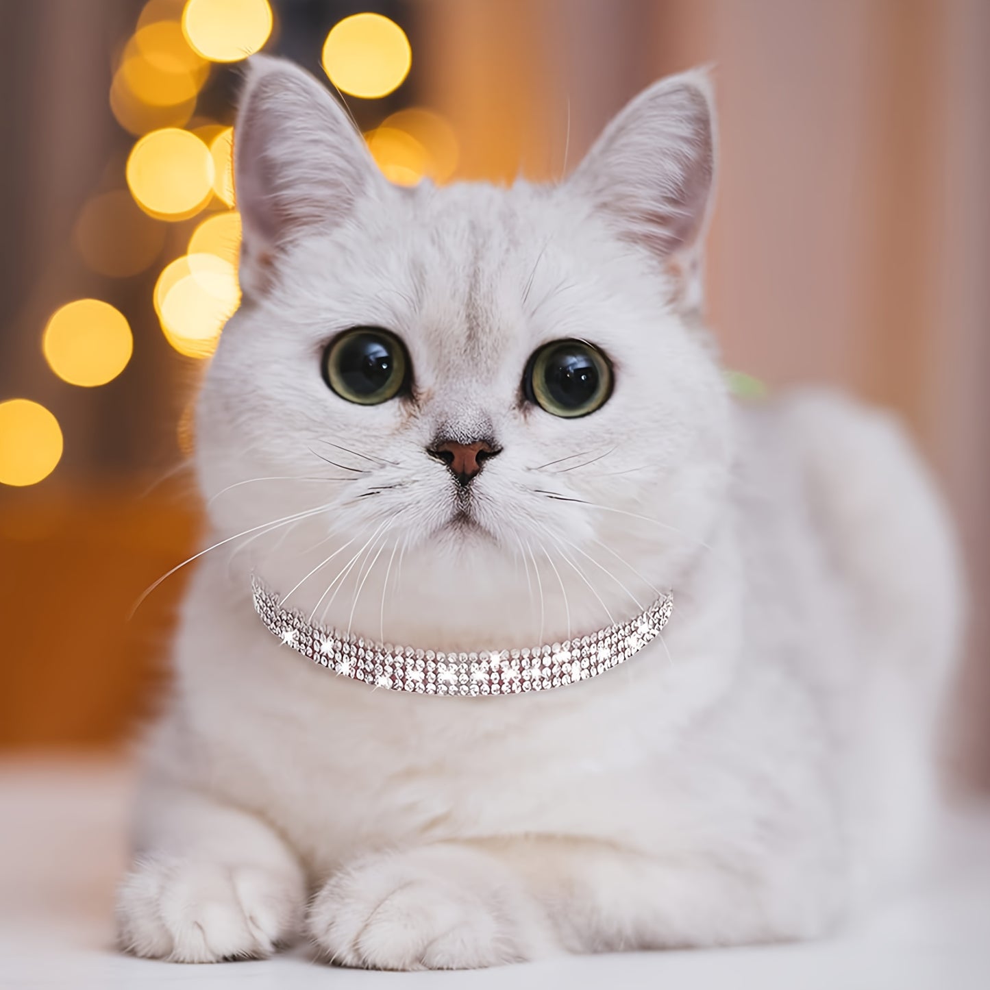 Rhinestone Velvet Cat Collar