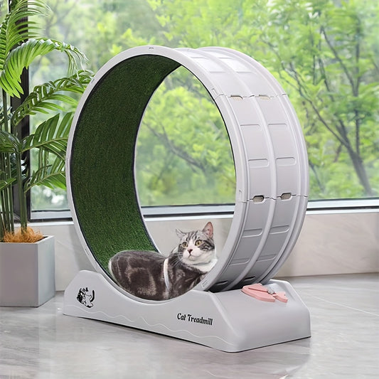 Cat Exercise Wheel For Indoor Cats