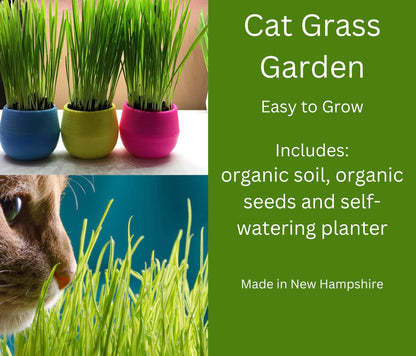 Healthy Cat Grass